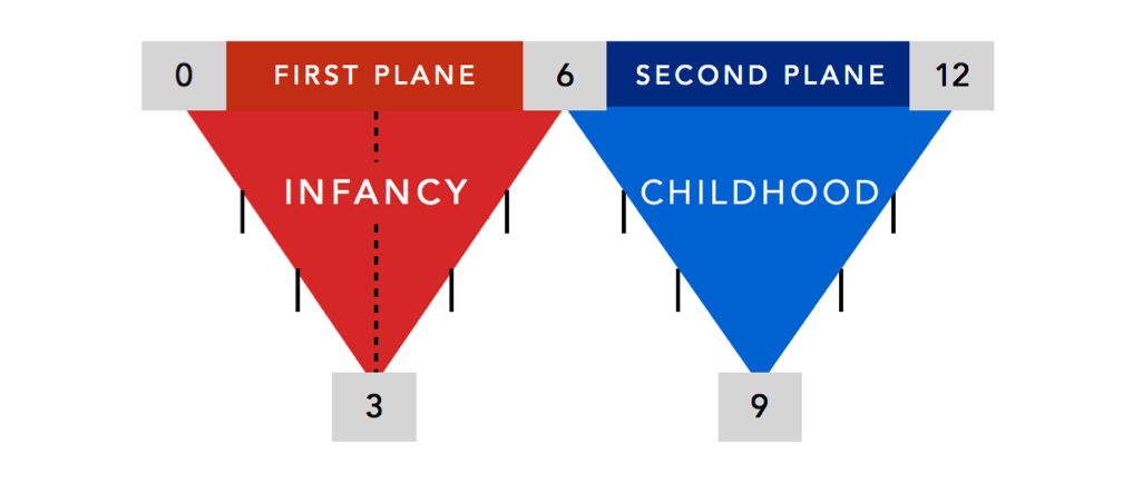First Plane - Infancy. Second Plane - Childhood