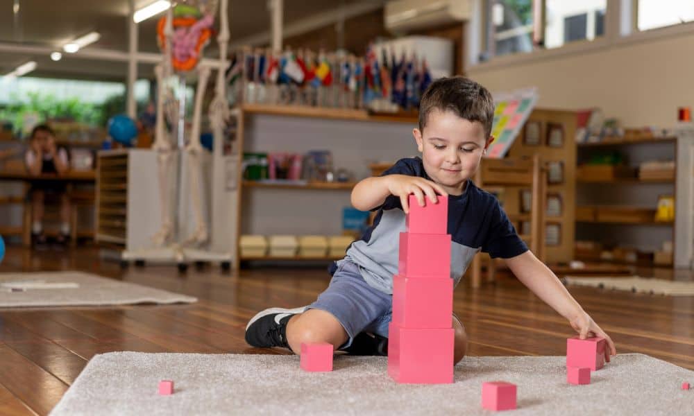 Forestville Montessori Preschool Sydney