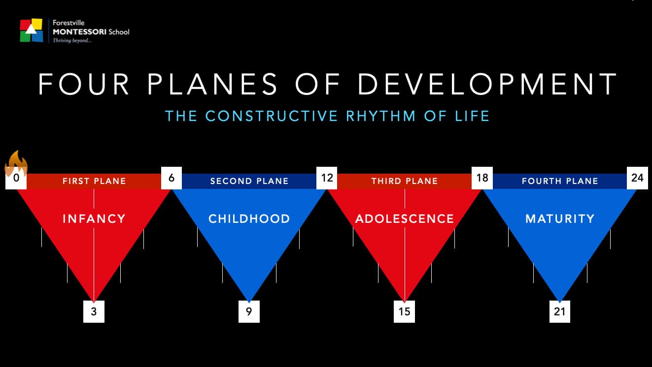 Montessori planes of development