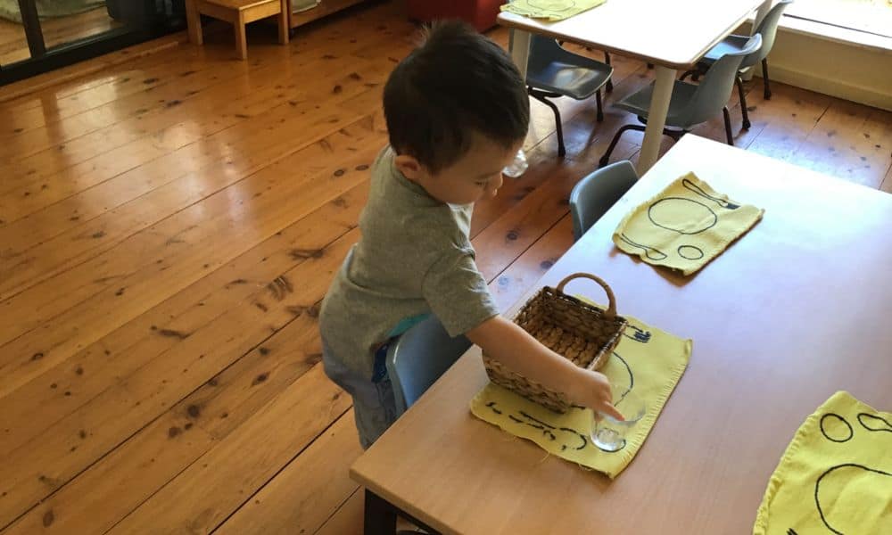 Forestville Montessori Toddler program capable